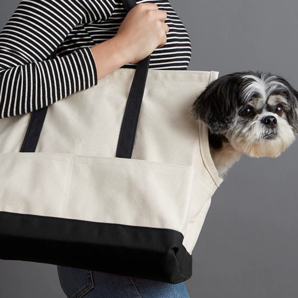 Pet Carrier LARGE Orange Lovethyebeast
